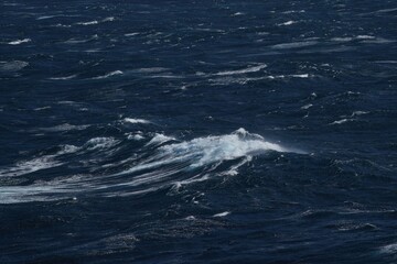 Wall Mural - turbulent ocean scene with dark waves and white foam, capturing raw power of nature. dynamic movemen