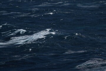Wall Mural - dark ocean waves with white foam create dynamic and powerful seascape. turbulent water reflects ener