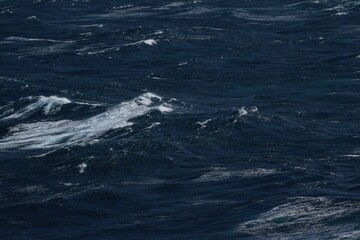 Wall Mural - dark ocean waves with white foam creating dynamic seascape. turbulent water reflects power and beaut