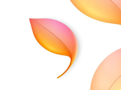 single leaf-shaped design element with an abstract gradient fill (orange to pink)