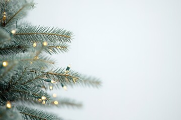 Wall Mural - snowy fir branches with warm lights, festive mood