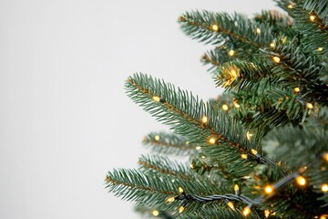 Wall Mural - close-up of christmas tree branches with twinkling lights