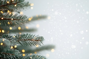 Wall Mural - snowy fir branches with warm lights, festive mood
