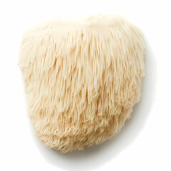 Cultivating Lion's Mane Mushrooms