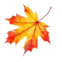 Wall Mural - Single Maple Leaf with Orange and Red Hues