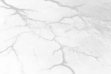 Poster - Here's a description for your stock photo

 Abstract monochrome close-up of vein-like patterns on a dark surface.