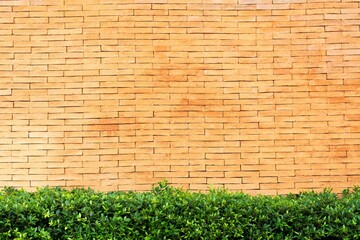 Wall Mural - wall background, mortar concrete, cement texture