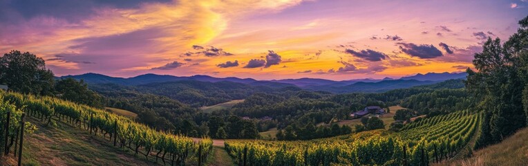 Poster - Breathtaking sunset view over lush vineyards in North, showcasing rolling hills and colorful skies during late afternoon