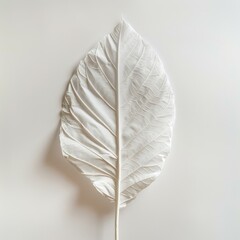 Poster - White skeleton leaf showing veins on off white background