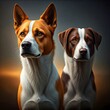 © Zee Editx - portrait of a Dog