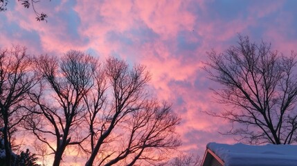 Poster - Winter Sunset Silhouette Trees Pink Sky