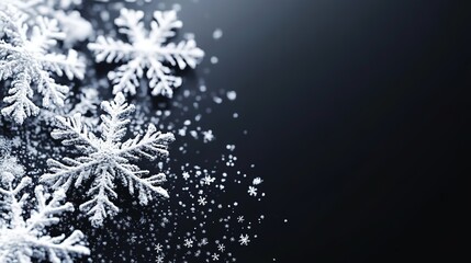 Wall Mural - detailed snowflakes on dark background.