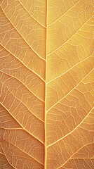 Poster - Close-up of a vibrant golden leaf showcasing intricate vein patterns against a warm background.