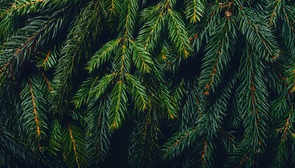 Poster - Close-up of lush evergreen fir tree branches with vibrant green needles, perfect for Christmas, holiday decorations, natural winter backgrounds, or seasonal eco friendly festive designs