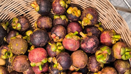 Poster - Mangosteen is a fruit in Thailand.