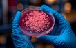 © Thanaseth - A scientist wearing blue gloves holding a petri dish containing bacteria or virus samples, lab equipment, microbiology research, scientific investigation