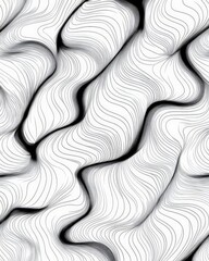 Poster - A captivating abstract wave pattern in black and white, featuring smooth curves and intricate lines that create a dynamic visual experience.