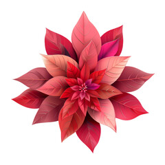 Wall Mural - Red poinsettia flower with leaves isolated on transparent or white background