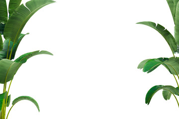Aufkleber - PNG transparent banana plant at corner of picture with copy space for text and element, 3d illustrrationn rendering 
