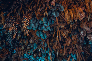 Wall Mural - Close up group of background tropical green leaves texture and abstract background. Tropical leaf nature concept.