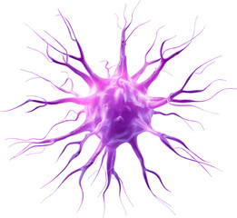 Poster - A vibrant purple cell with numerous extending filaments, representing a complex biological structure.