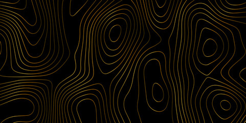 Wall Mural - abstract light pattern vector illustration. topographic map background concept. vibrant neon lights 