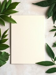 Canvas Print - Fresh green leaves arranged on a textured white background for natural decoration ideas