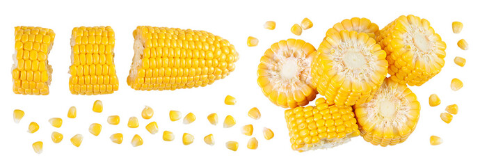 Wall Mural - ear of corn isolated on a white background with full depth of field. Top view. Flat lay