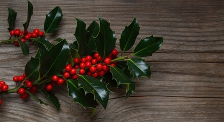 Wall Mural - Sprigs of festive holly with bright red berries creating a christmas scene on a rustic wooden background