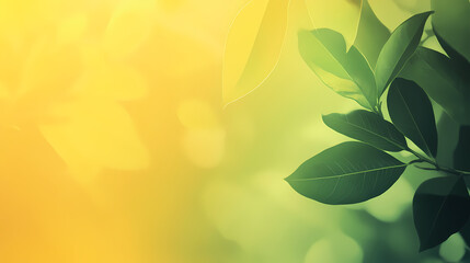 Wall Mural - yellow abstract nature blurred background gradient backdrop. ecology concept for your graphic design