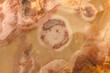 © Leola - Stone With An Abstract Look