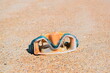 © FabisT - Lost pair of swimming goggles litter on beach