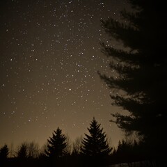 A picturesque and dramatic Star Trek scene in a winter woods.