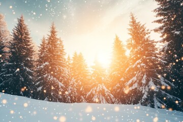A snow-covered tree in winter. A frozen lake at the front of the image.
