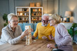 © Miljan Živković - Group of people senior man and women play leisure board game at home