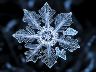 Poster - Intricate, detailed snowflake macro shot against a dark background.