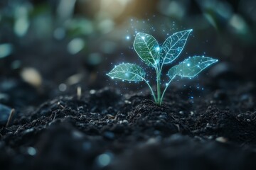 Aufkleber - A small sprout with glowing leaves emerges from the earth.