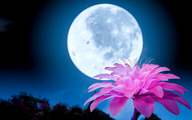 Wall Mural - Pink flowers in full bloom with a background of flower bushes and a full moon. Night nature. Night flowers. 3D Rendering.