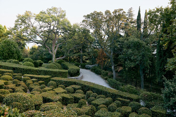 Canvas Print - Tranquil pathway surrounded by lush greenery in a serene park setting