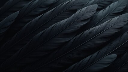 Poster - A close up of black feathers, possibly from a bird