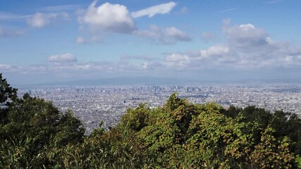 Wall Mural - 信貴生駒スカイラインから眺める大阪平野の街並み