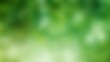 © AntariCode - Lush green blur background with soft glowing texture.