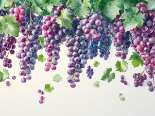 Wall Mural - Various falling fresh ripe grape on light white background, horizontal composition