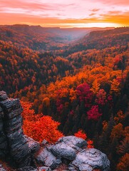 Canvas Print - Breathtaking panoramic view of an autumnal forest at sunset from a rocky cliff edge.