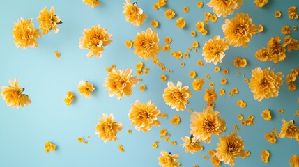 Poster - Golden shower flowers dancing in the air nature photography vibrant environment colorful viewpoint floral artistry