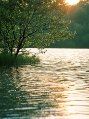 Wall Mural - Serene Sunset A Tree Silhouetted Against the Golden Light Reflecting on a Calm Lake.