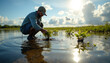 © Lee Design Arts - Restoring Wetland Ecosystem by Planting Vegetation