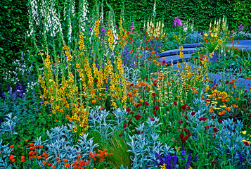 Wall Mural - Colourful flower border with mixed planting
