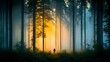© irawan - Solitary Figure Walks Through A Misty Golden Forest