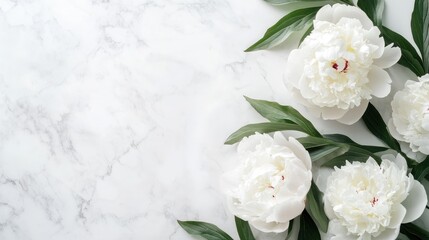 Poster - white peony flowers arranged in a minimalistic flat lay border creating ample copy space